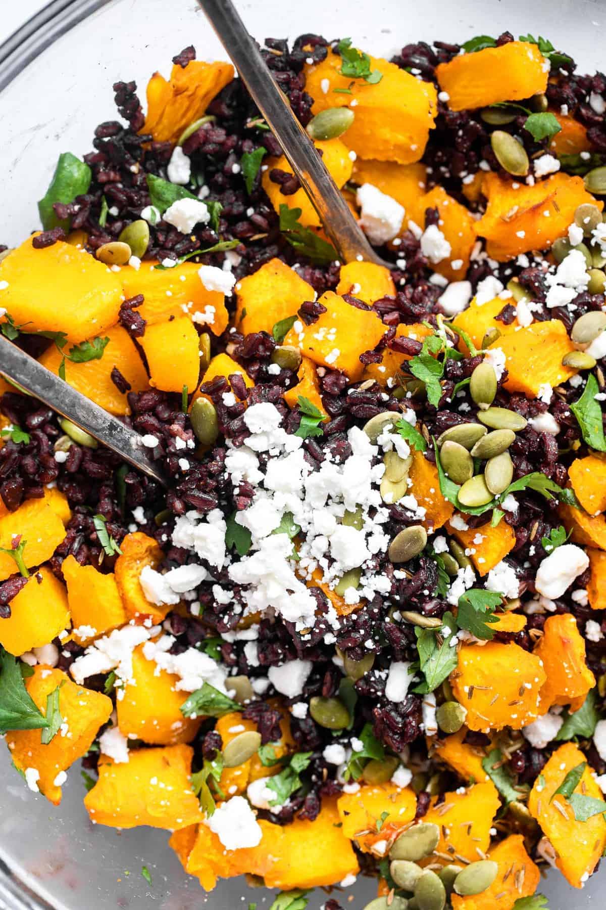 Harvest Black Rice Salad - This easy rice salad is topped with roasted pumpkin, harissa, and goat cheese for a delicious, flavorful, gluten free and healthy fall meal! Perfect for a side dish or meatless dinner! | #foodfaithfitness | #glutenfree #vegetarian #healthy #sidedish Black rice salad with roasted pumpkin in a bowl