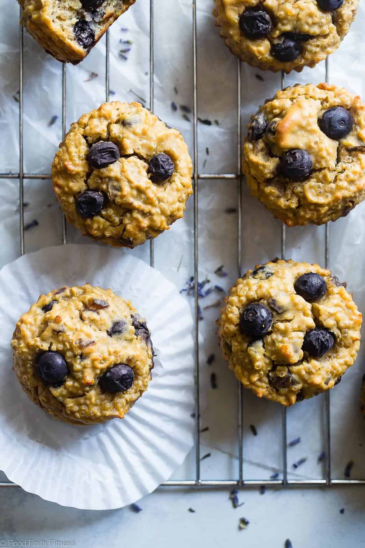 High Protein Blueberry Quinoa Muffins - Naturally sweetened, gluten free, dairy free and packed with plant based protein and fiber! These muffins are quick and easy to make and great for kids lunchboxes or snacks! Adults love them too! | #Foodfaithfitness | #Glutenfree #Dairyfree #Proteinpowder #Healthy #Quinoa
