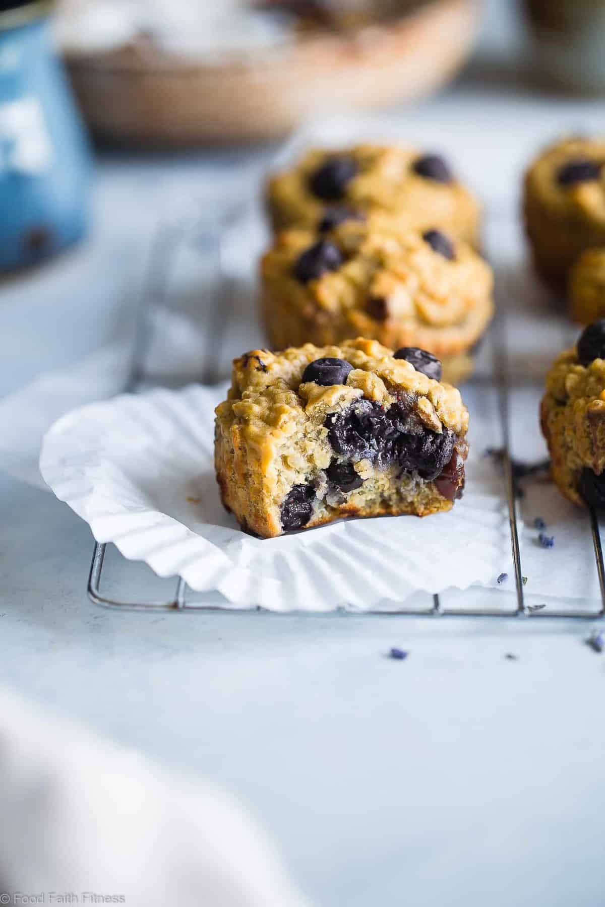 Quinoa Blueberry High Protein Muffins - Naturally sweetened, gluten free, dairy free and packed with plant based protein and fiber! These muffins are quick and easy to make and great for kids lunchboxes or snacks! Adults love them too! | #Foodfaithfitness | #Glutenfree #Dairyfree #Proteinpowder #Healthy #Quinoa