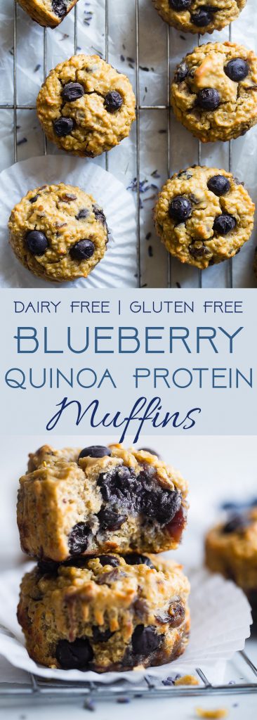 High Protein Blueberry Quinoa Muffins - Naturally sweetened, gluten free, dairy free and packed with plant based protein and fiber! These muffins are quick and easy to make and great for kids lunchboxes or snacks! Adults love them too! | #Foodfaithfitness | #Glutenfree #Dairyfree #Proteinpowder #Healthy #Quinoa