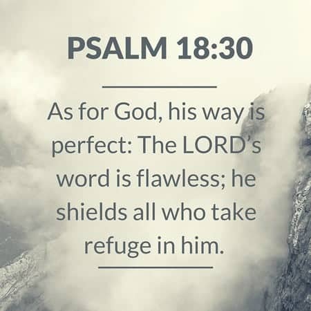 Sunday Reflections - Thoughts on what God has been teaching me throughout the week | Foodfaithfitness.com | @FoodFaithFit