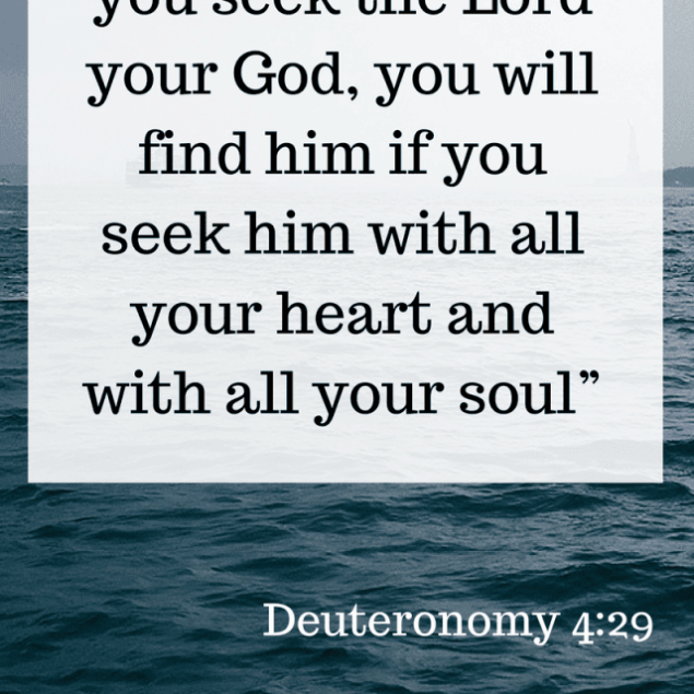 Sunday Reflections - Thoughts on what God has been teaching me throughout the week! | Foodfaithfitness.com | @FoodFaithFit