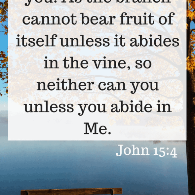 Sunday Reflections - Thoughts on what God has been teaching me throughout the week! | Foodfaithfitness.com | @FoodFaithFit