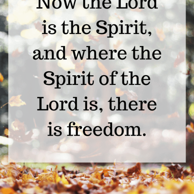Sunday Reflections - Thoughts on what God has been teaching me throughout the week! | Foodfaithfitness.com | @FoodFaithFit