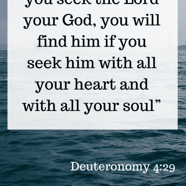 Sunday Reflections - Thoughts on what God has been teaching me throughout the week! | Foodfaithfitness.com | @FoodFaithFit