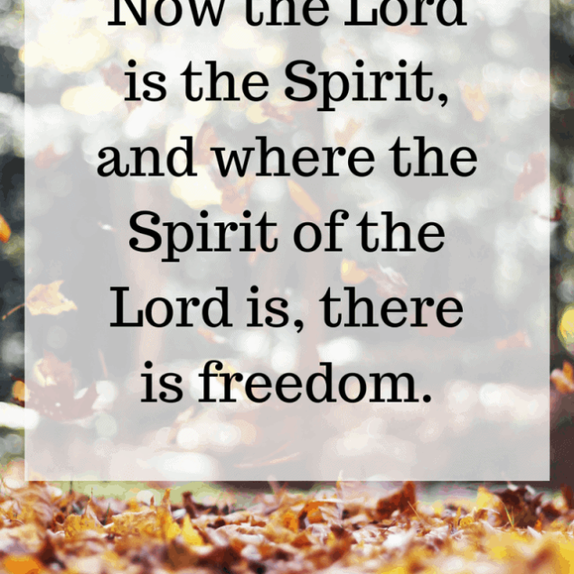 Sunday Reflections - Thoughts on what God has been teaching me throughout the week! | Foodfaithfitness.com | @FoodFaithFit