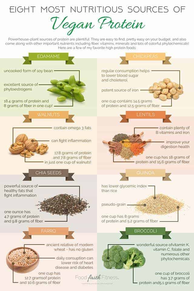 How to Get Protein As A Vegan Best Plant Protein Sources