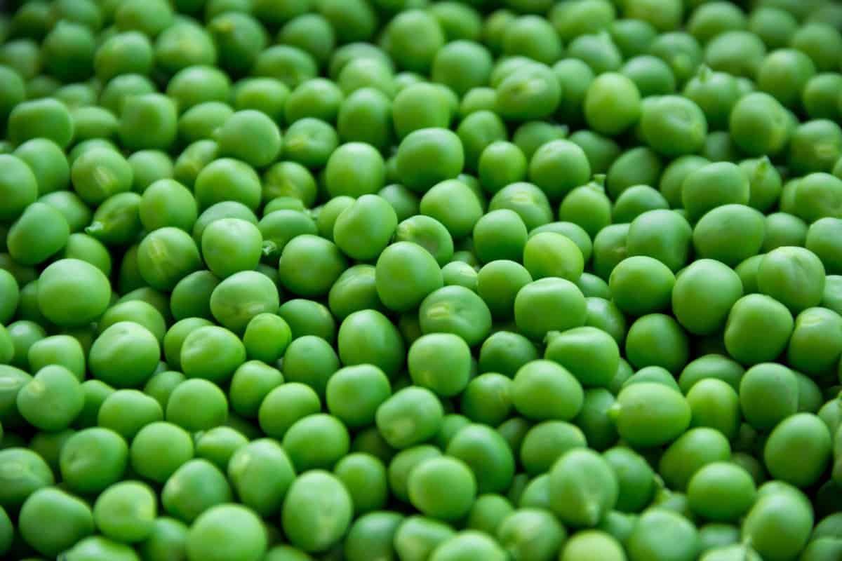 How to get Protein as a Vegan & The Best Plant Protein Sources - Everything you need to know about how to get enough protein on a plant-based diet through simply, budget-friendly foods that are delicious! | #Foodfaithfitness | #Vegan #Glutenfree #Healthy #Plantbased #Vegetarian