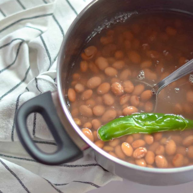 Pinto beans picture above