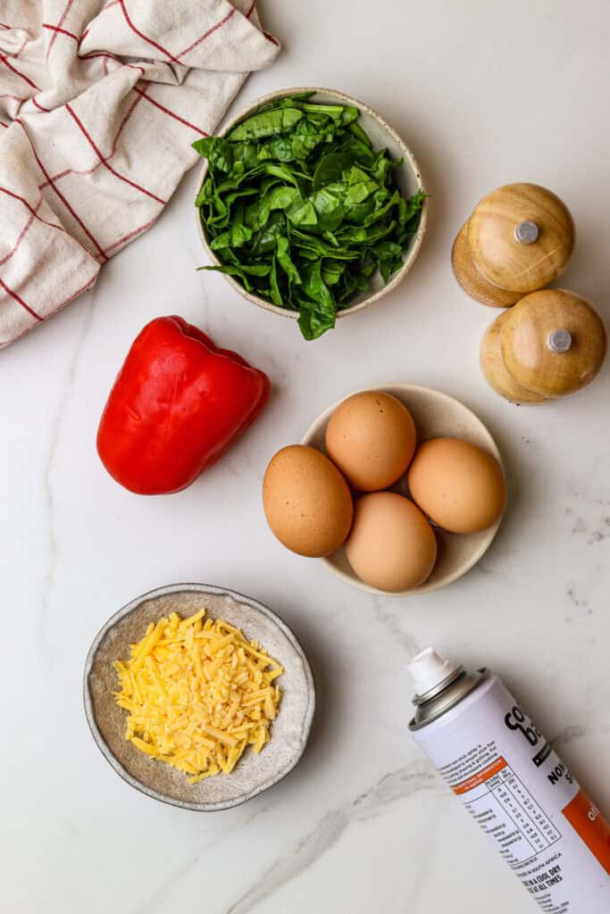 Air Fryer Omelette