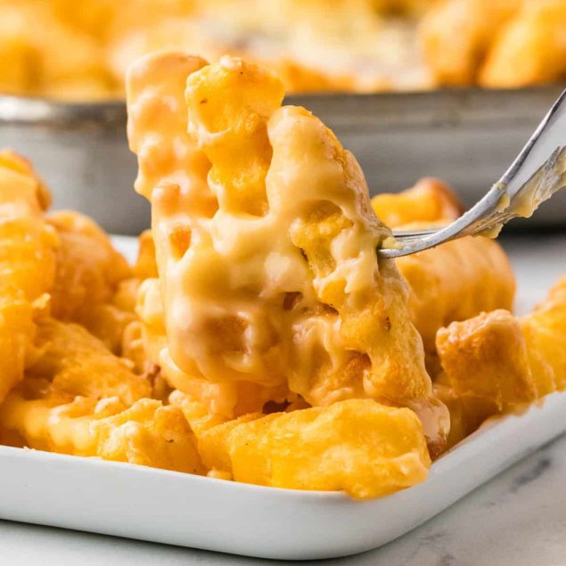 Homemade Cheese Fries Recipe