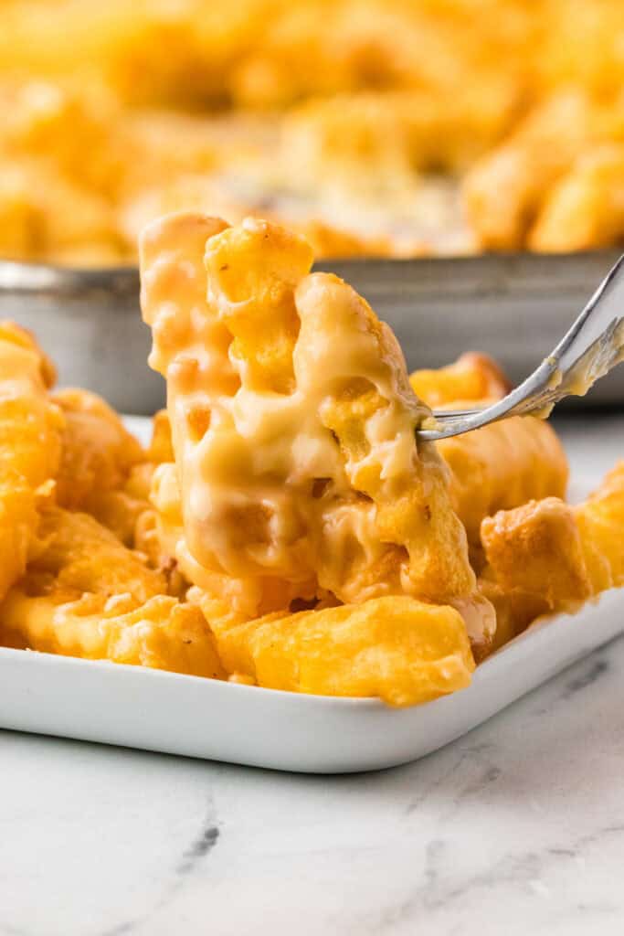 Homemade Cheese Fries Recipe