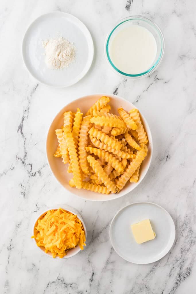 Homemade Cheese Fries Recipe