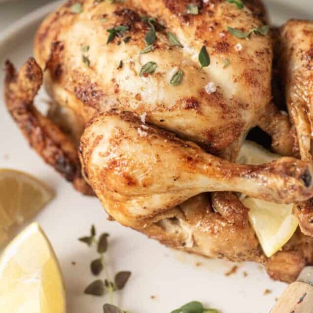 Air Fryer Whole Chicken