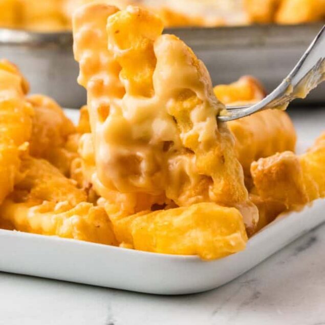 Homemade Cheese Fries Recipe