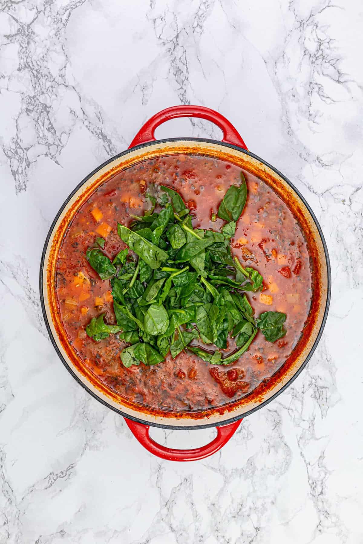 Chicken Tomato Soup