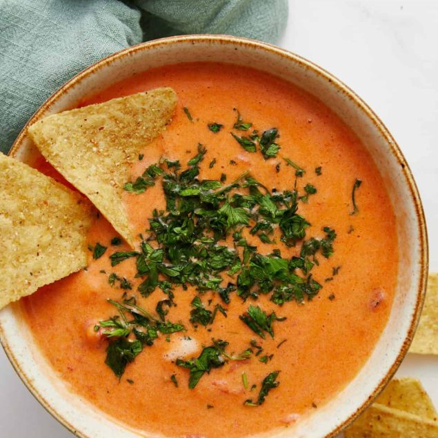 Crockpot Queso Dip Recipe