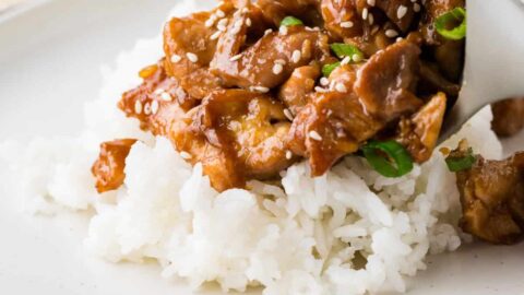 Teriyaki Chicken - Food Faith Fitness