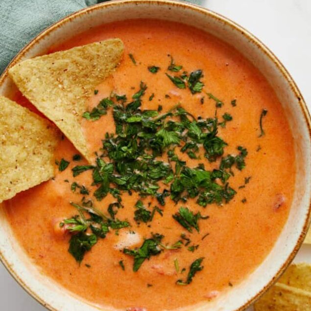 Crockpot Queso Dip Recipe