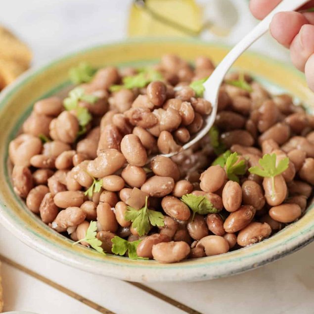 Instant Pot Pinto Beans