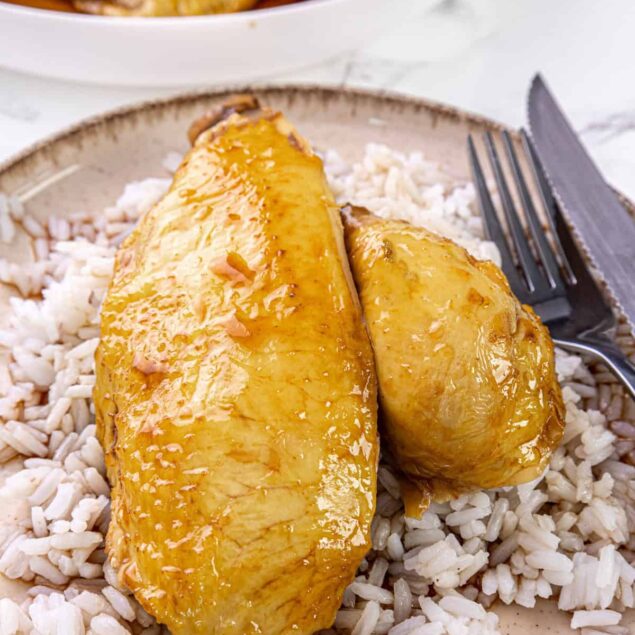 Chicken of soy sauce