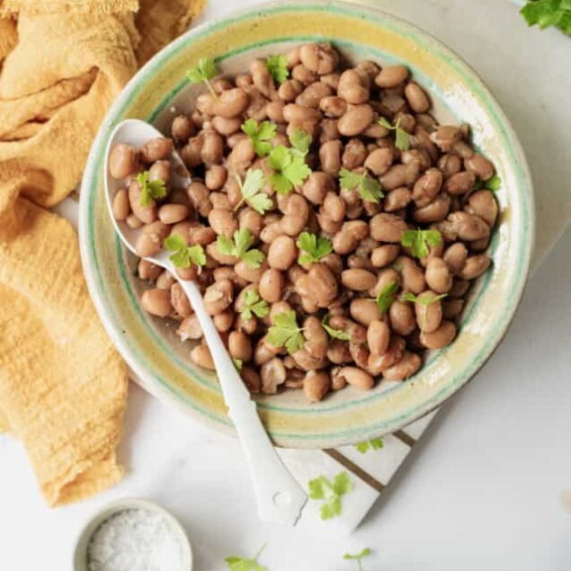Instant Pot Pinto Beans