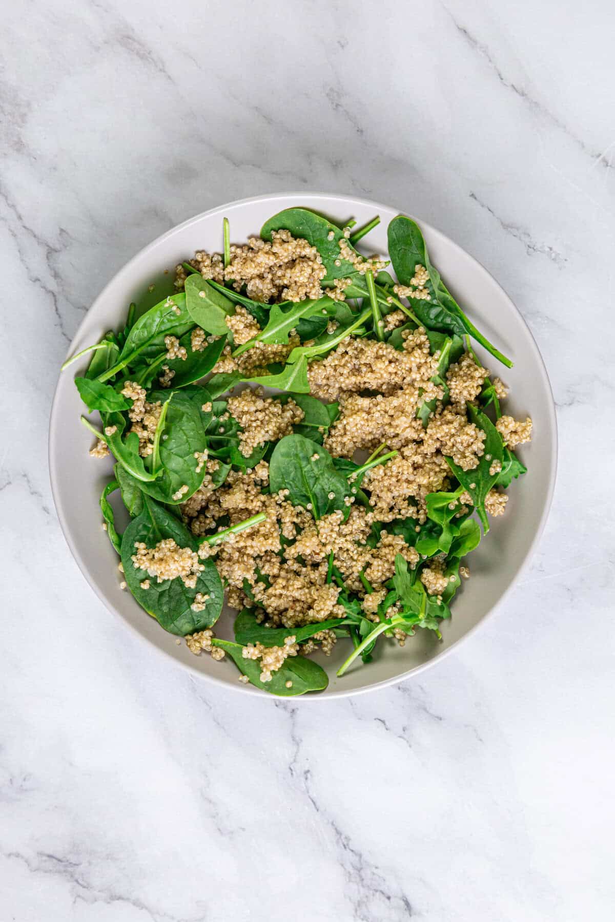 Falafel Bowl