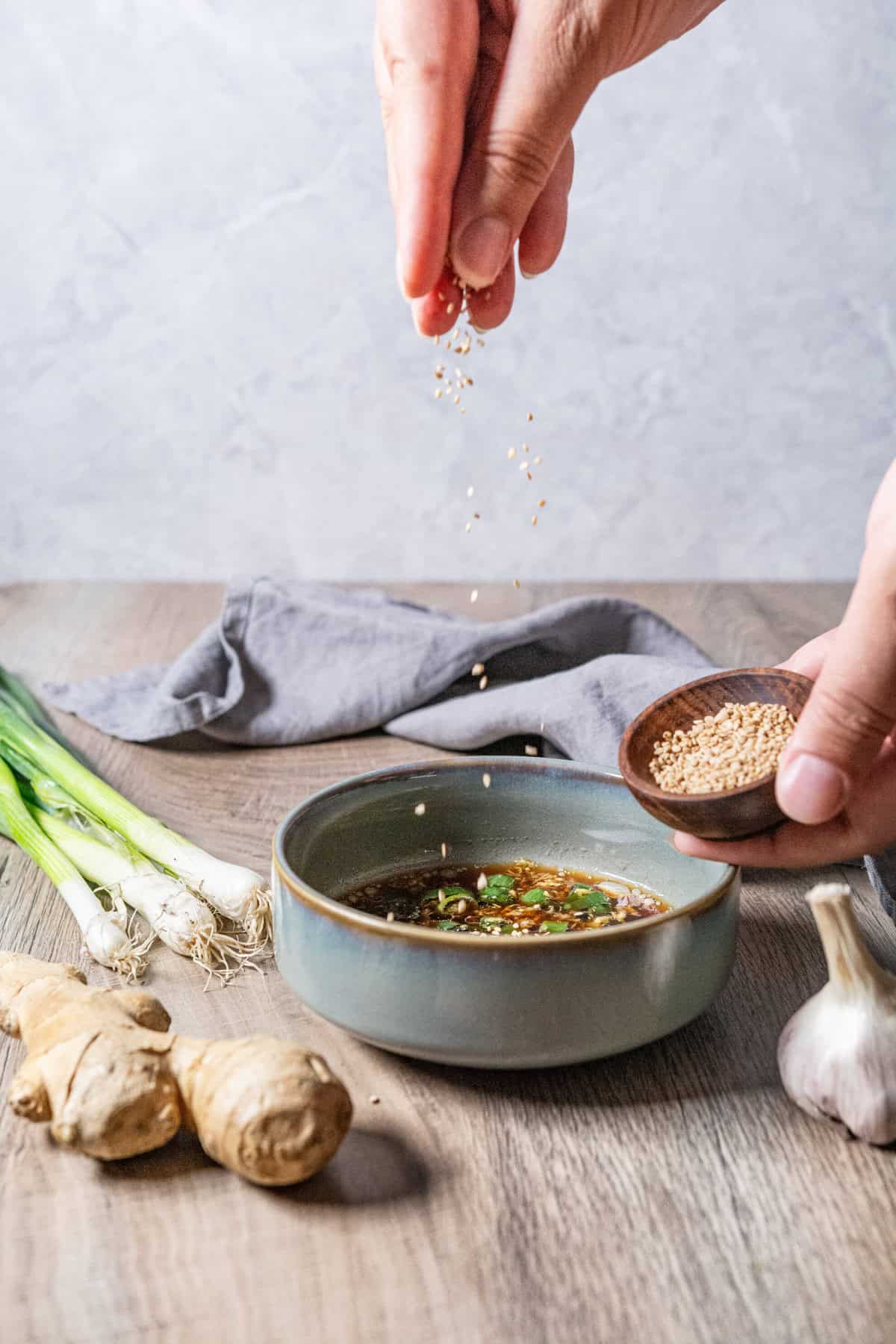 Potsticker Sauce