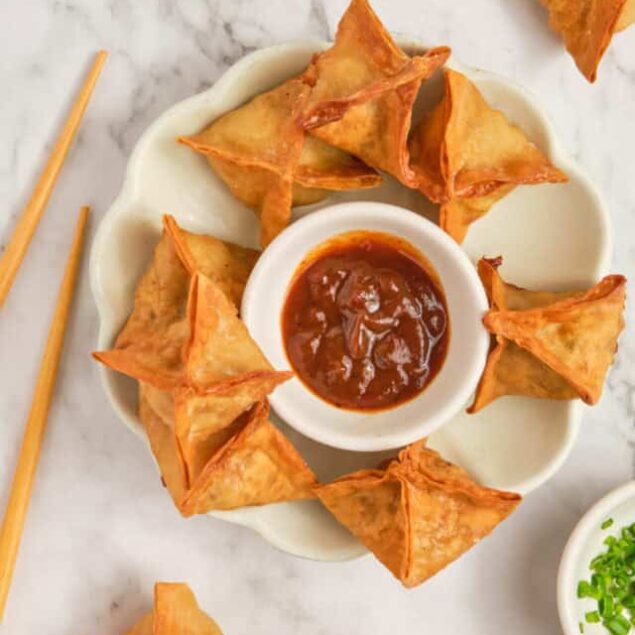Air Fryer Wontons