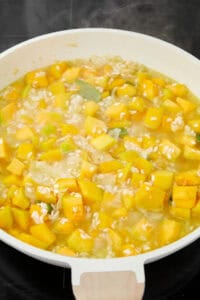 Butternut Squash Risotto