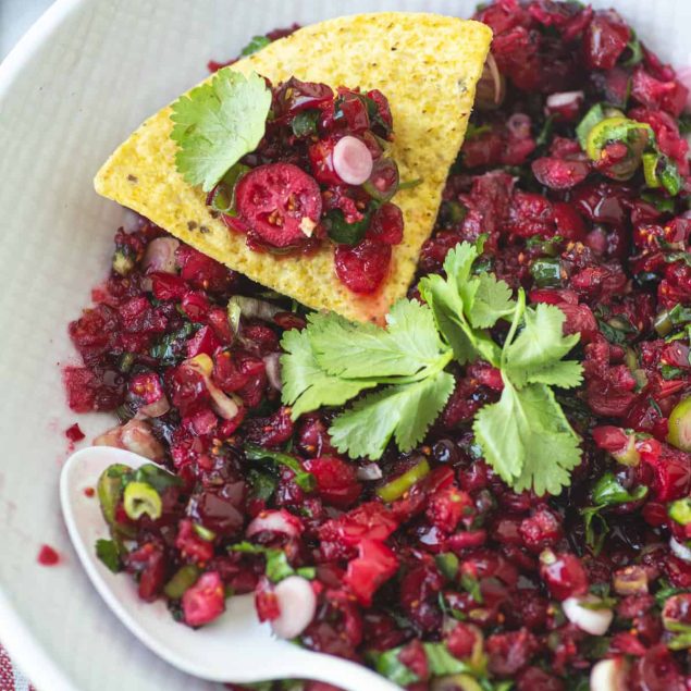 Cranberry Salsa