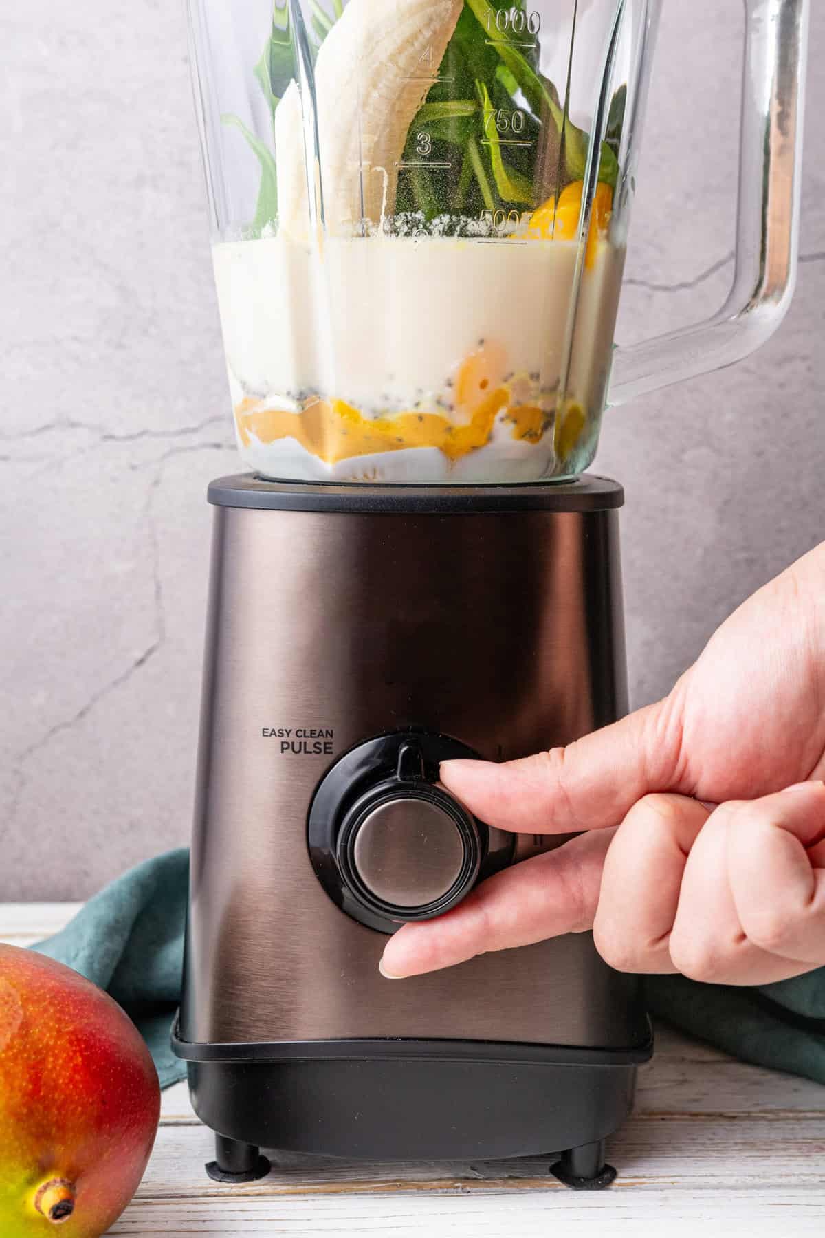Healthy Smoothie Recipe