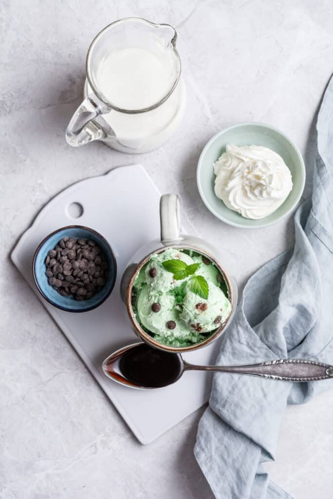 Mint Chocolate Chip Milkshake