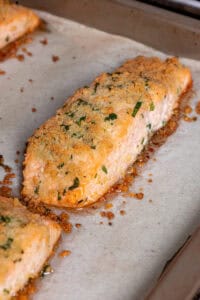 Parmesan Crusted Salmon