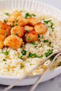 Scallop Risotto