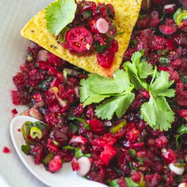 Cranberry Salsa