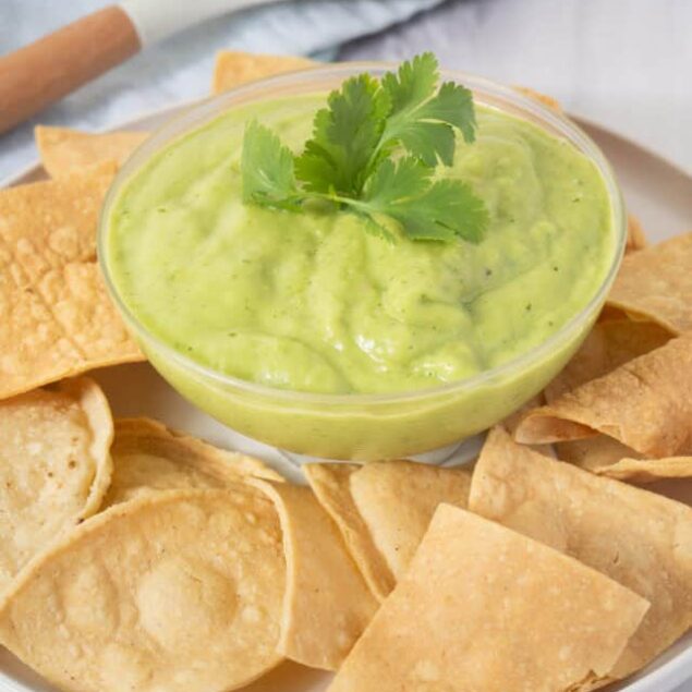 Guacamole Salsa