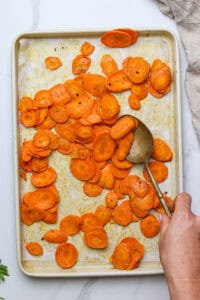 Carrot Chips