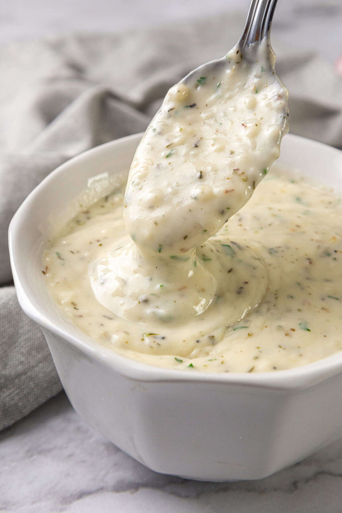 Garlic Parmesan Sauce