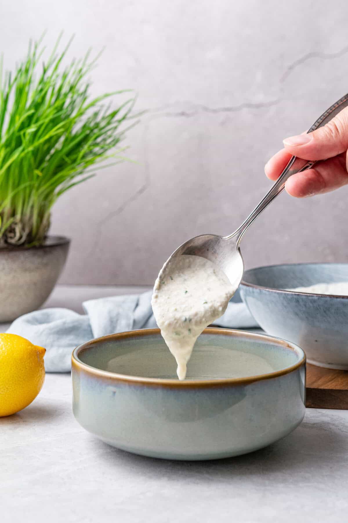 Horseradish Sauce
