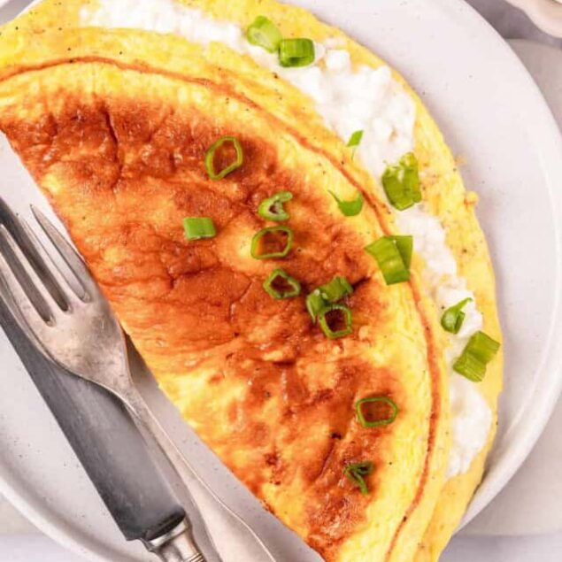 cropped-cottage-cheese-omelette-final-shot-2.jpeg