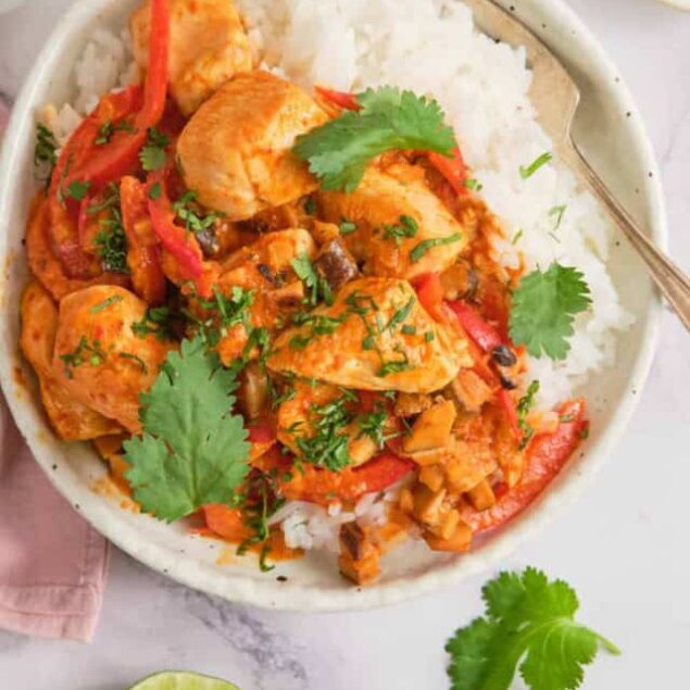 Savory chicken and vegetable stir-fry served over fluffy white rice, featuring fresh cilantro and vibrant peppers, perfect for healthy meal prep and flavorful eating.