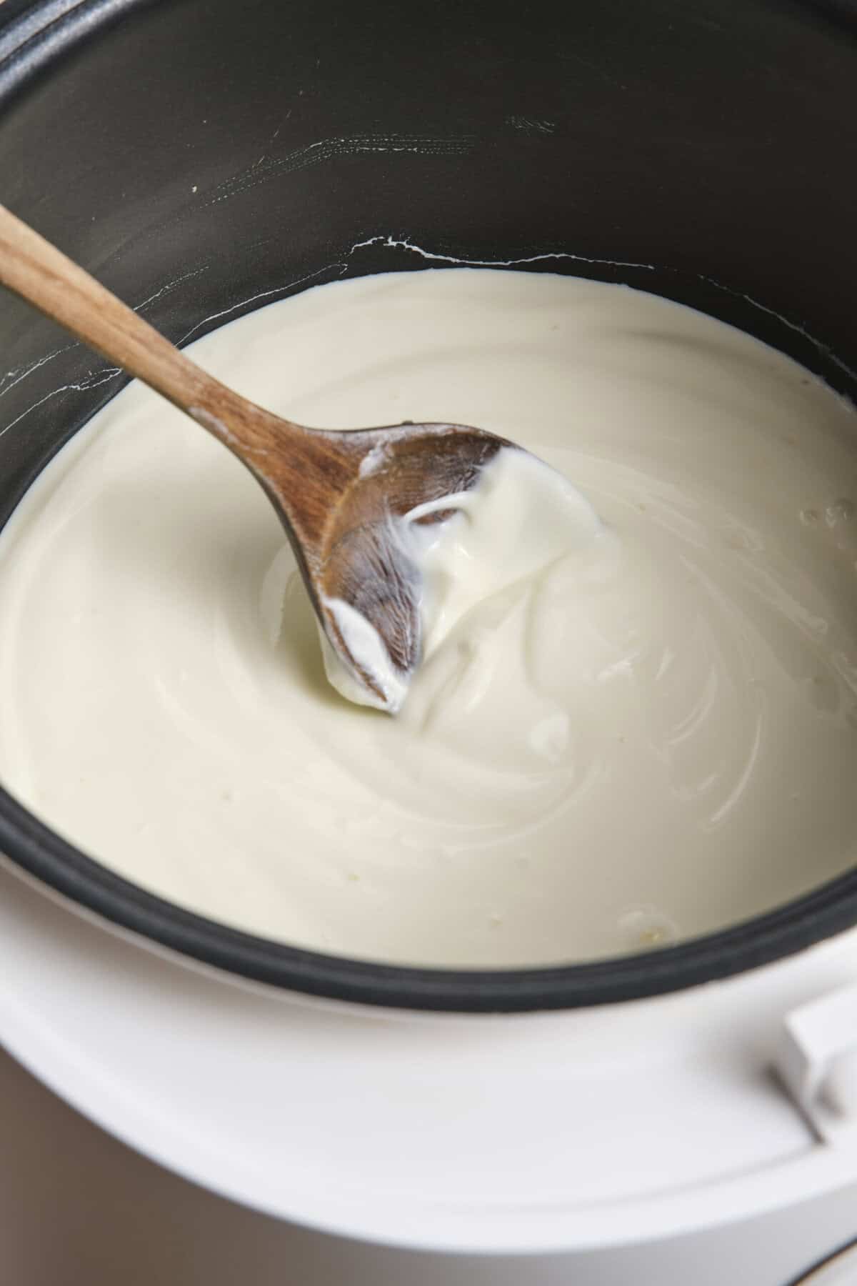 Crock-Pot Yogurt - foodfaithfitness