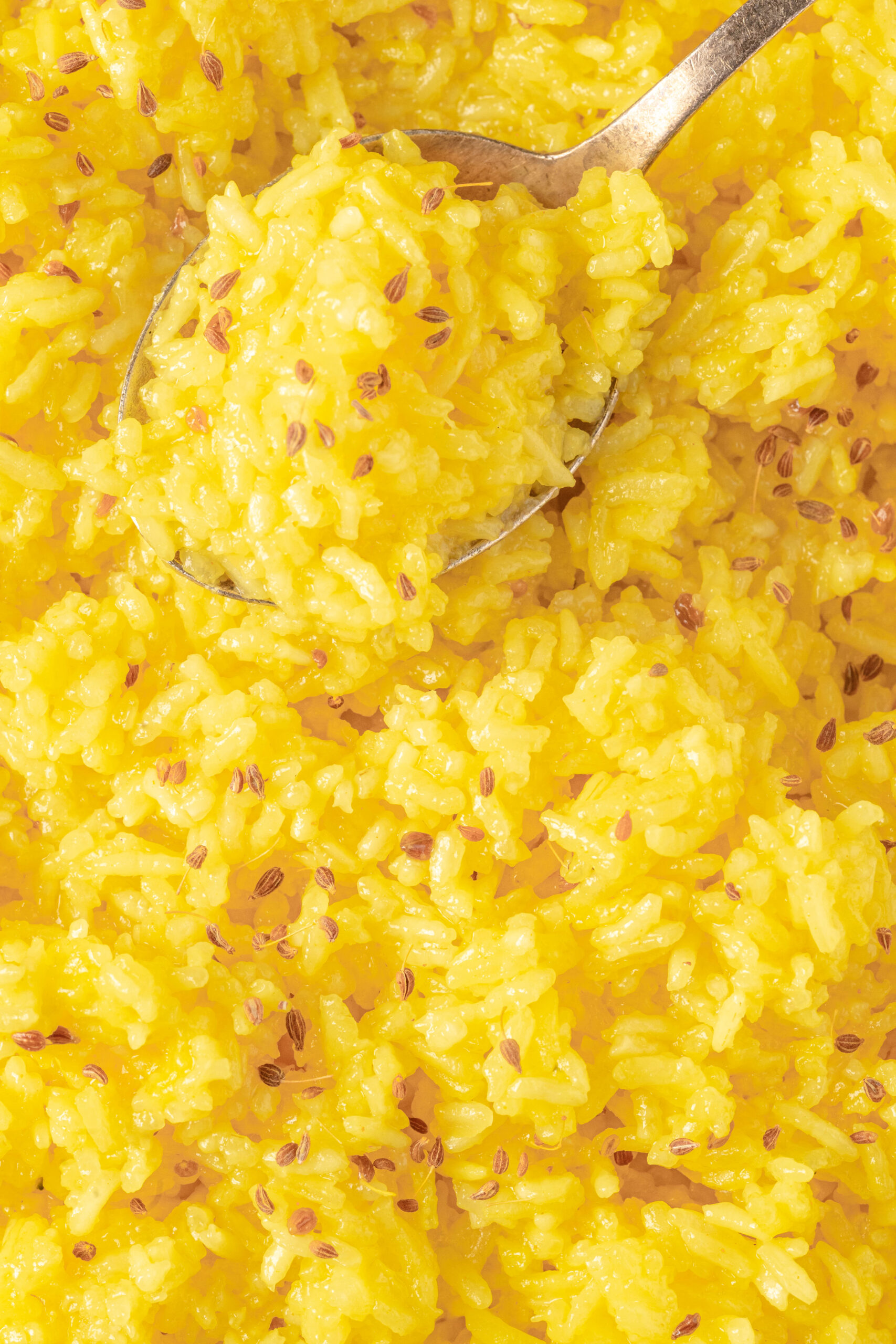Indian Rice - foodfaithfitness