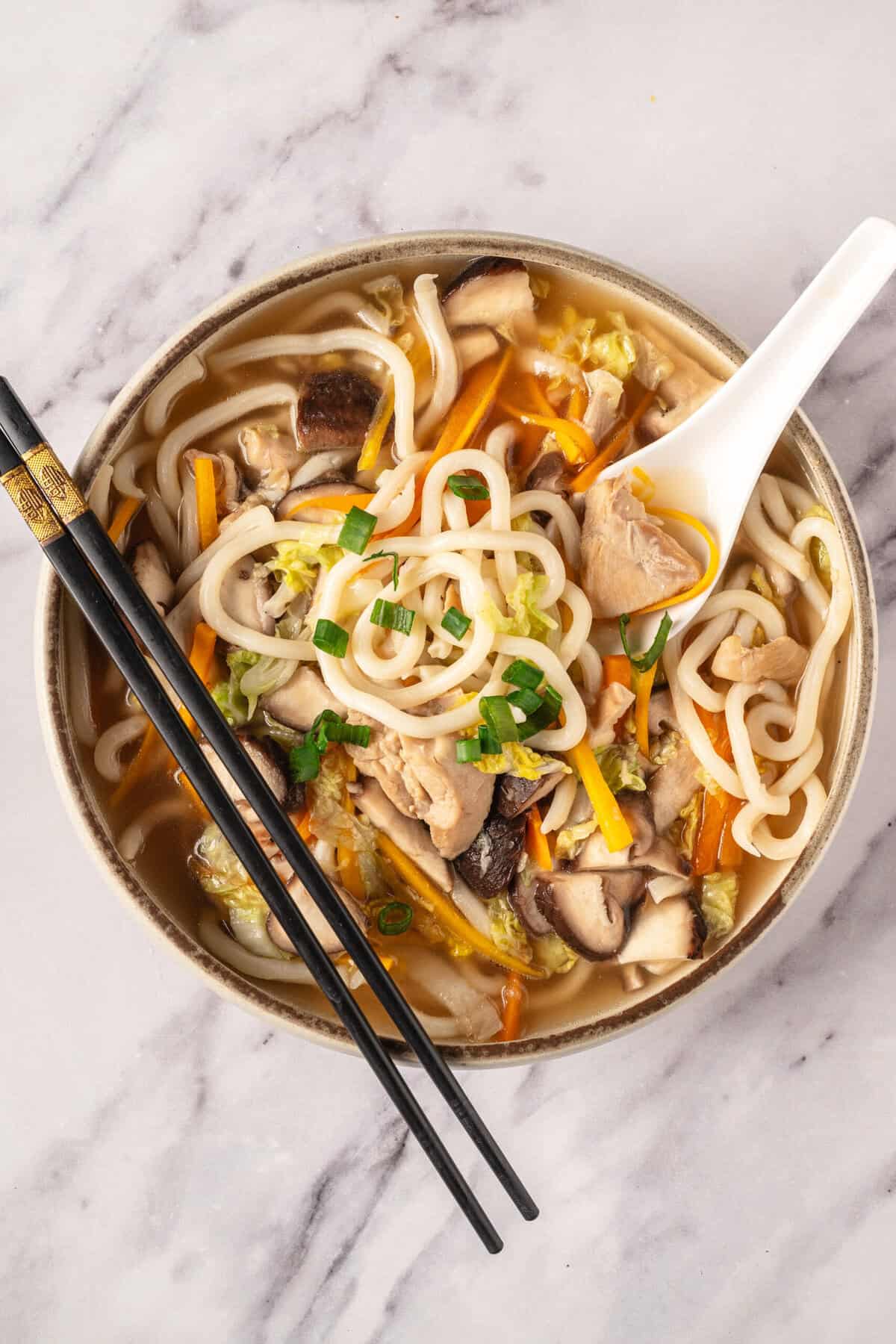 Chicken Udon Soup - foodfaithfitness