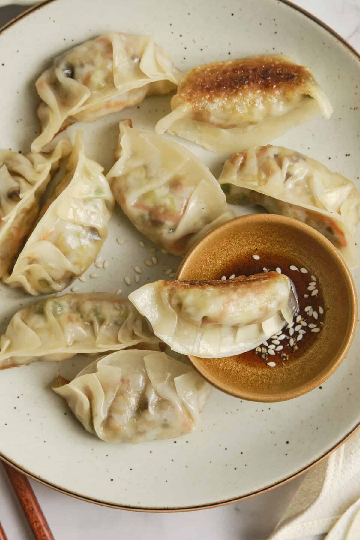 Vegetable Dumplings - foodfaithfitness