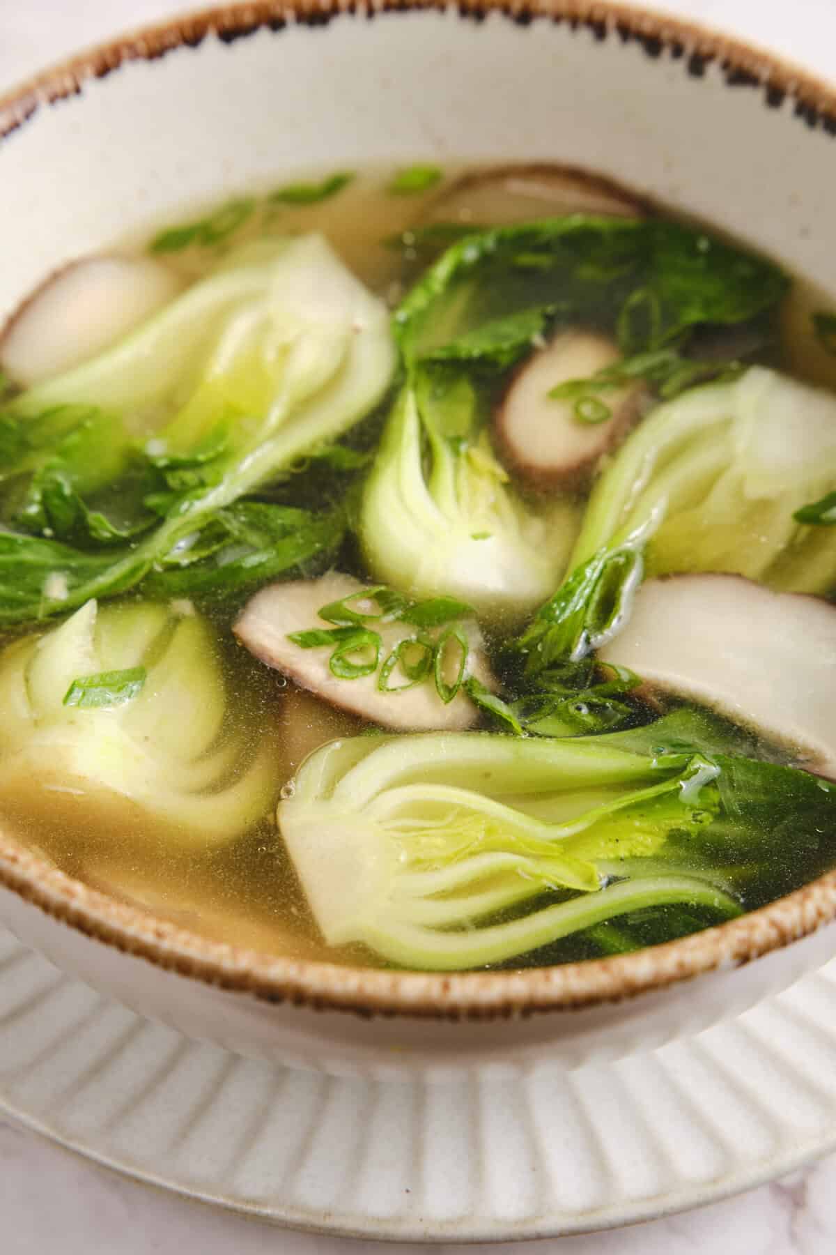Bok Choy Soup - foodfaithfitness