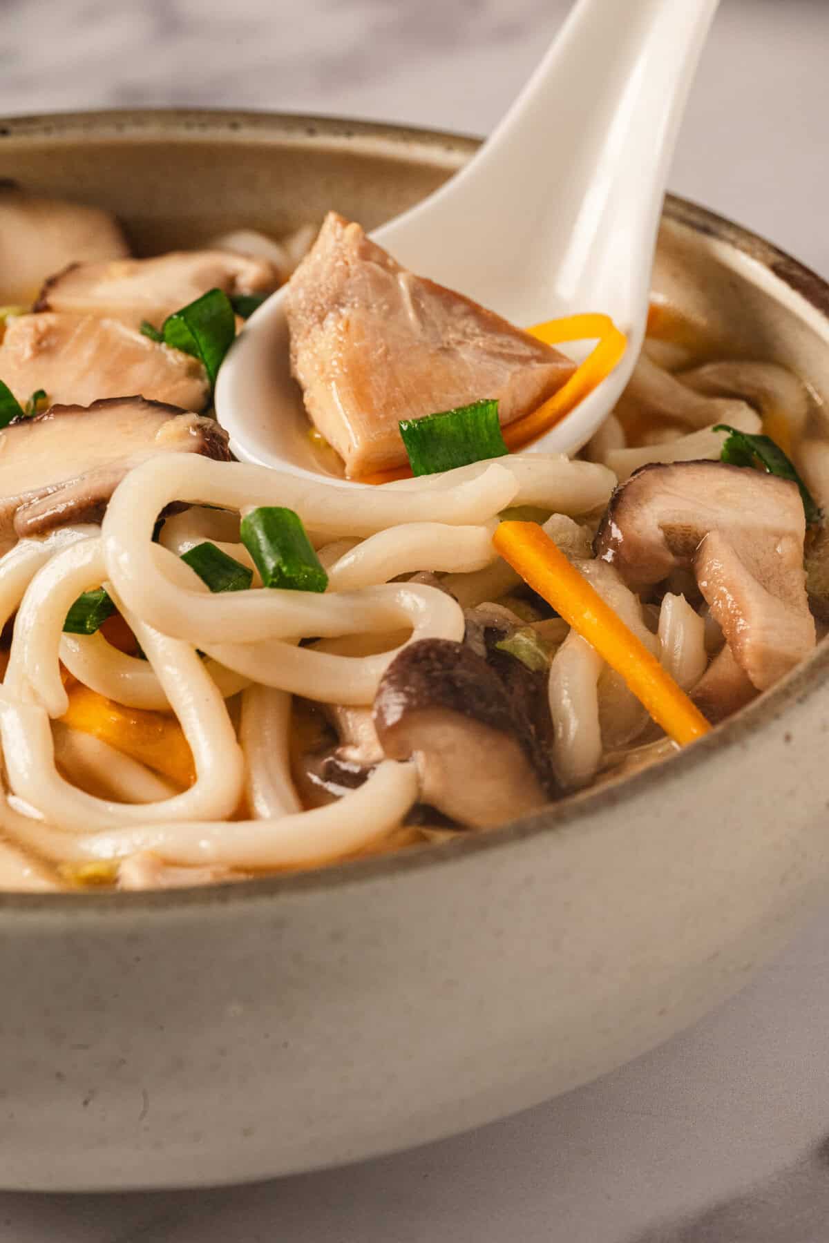 Chicken Udon Soup - foodfaithfitness