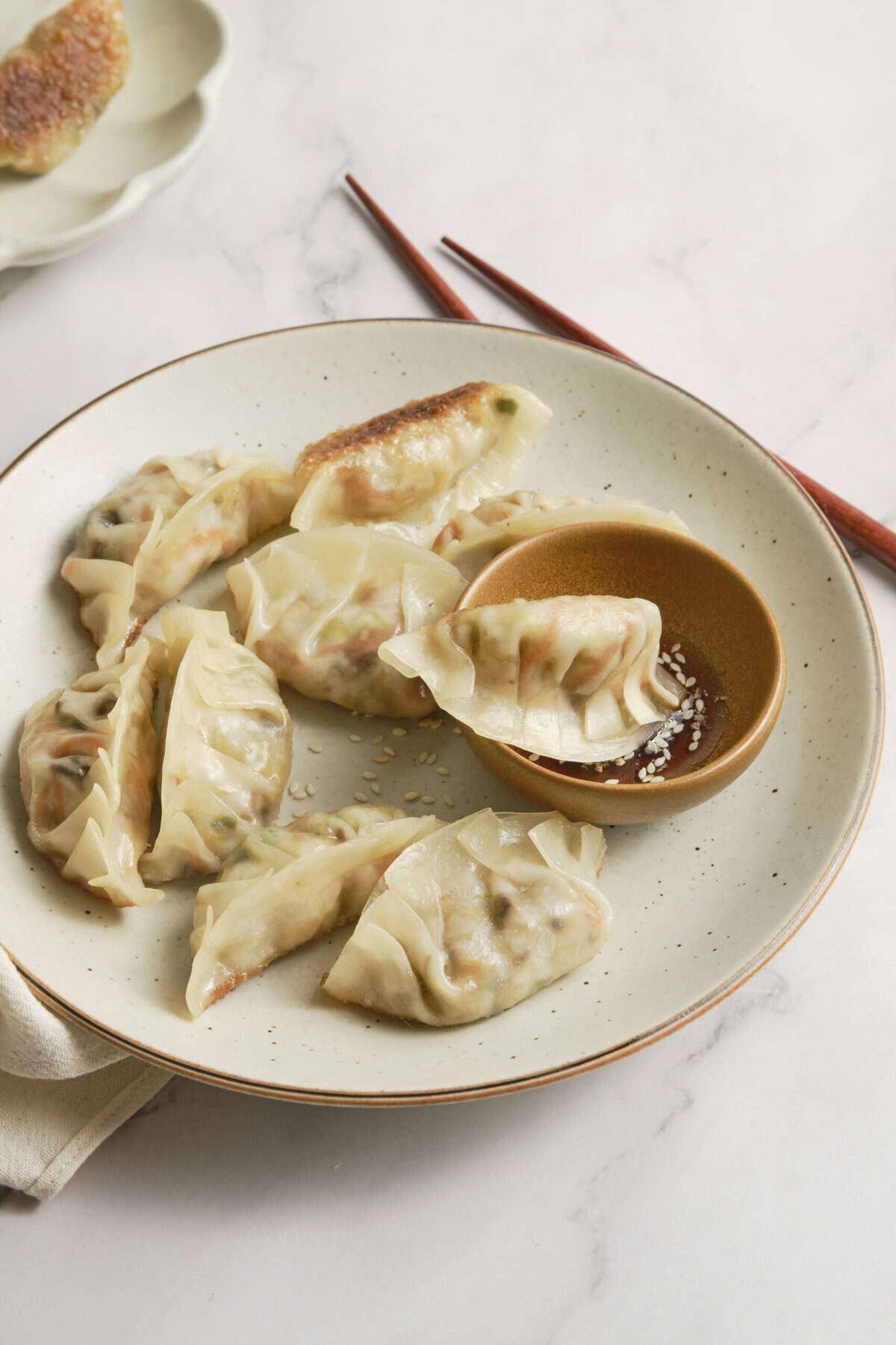 Vegetable Dumplings - foodfaithfitness