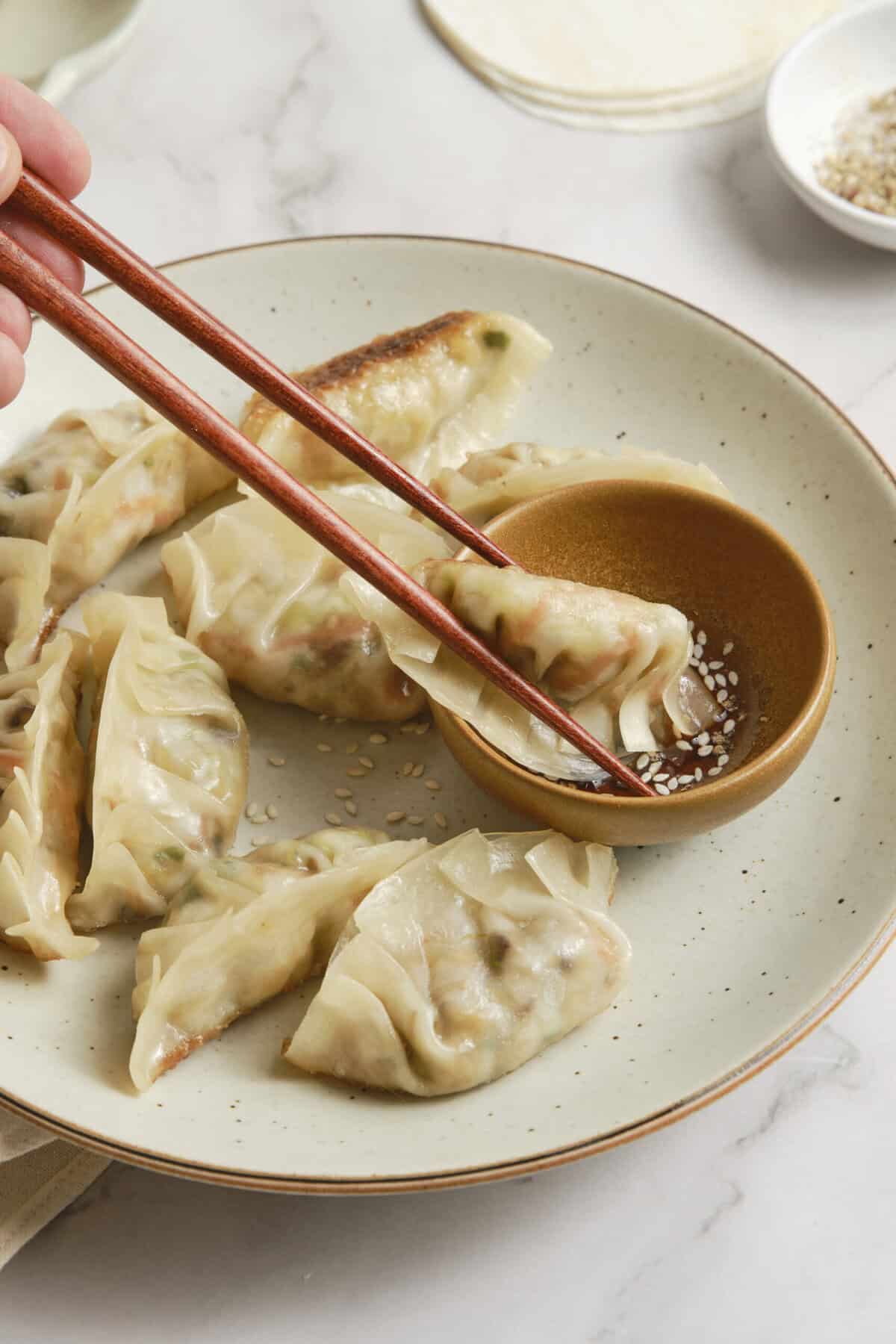 Vegetable Dumplings - foodfaithfitness